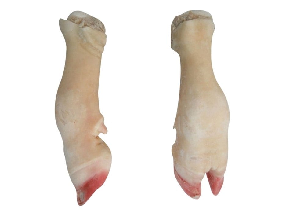 Beef feet wholesale chilled and frozen meat wholesale beef meat suppliers
