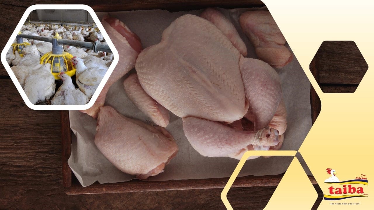 wholesale-meat-beef-chicken-poultry-beef-meat-frozen-meat-frozen-chicken-chilled-beef-suppliers-wholesalers-distributors-in-italy-taiba-farms-chicken-cuts-parts
