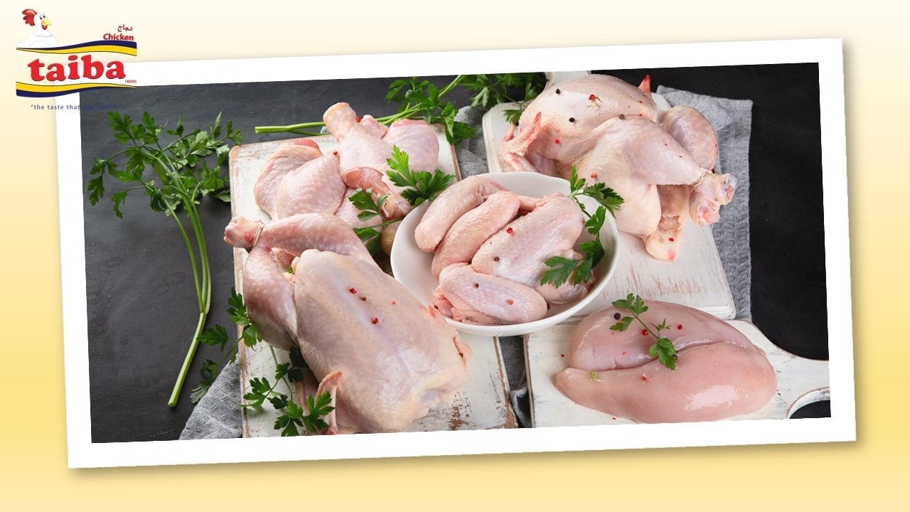 شركات اللحوم موزعين موردين تجار جملة مصانع ثلاجات لحوم بقر أبقار دجاج دواجن مجمدة مثلجة مبردة طازجة دجاج لحوم