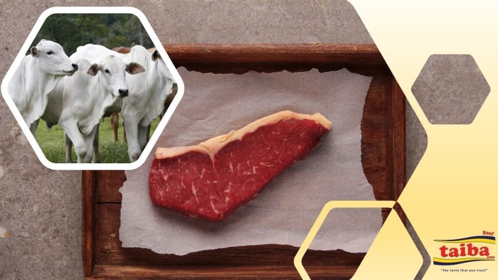 Beef, Meat, Hind Quarter Cuts wholesale, suppliers, distributors