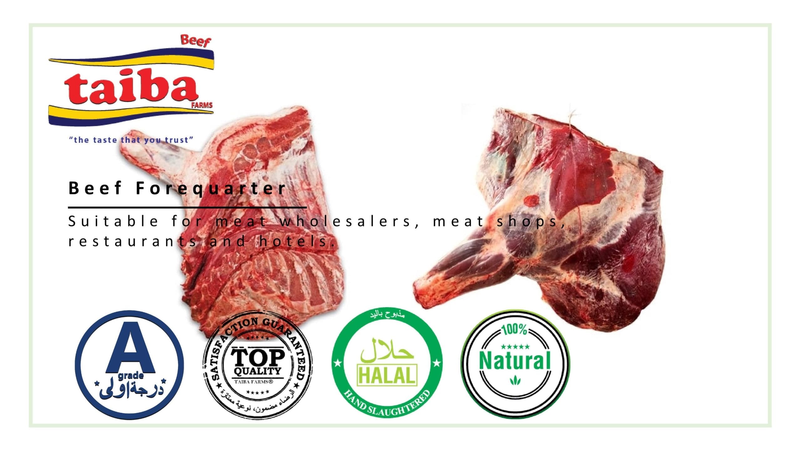 Beef full forequarter: wholesalers, suppliers, and meat factories