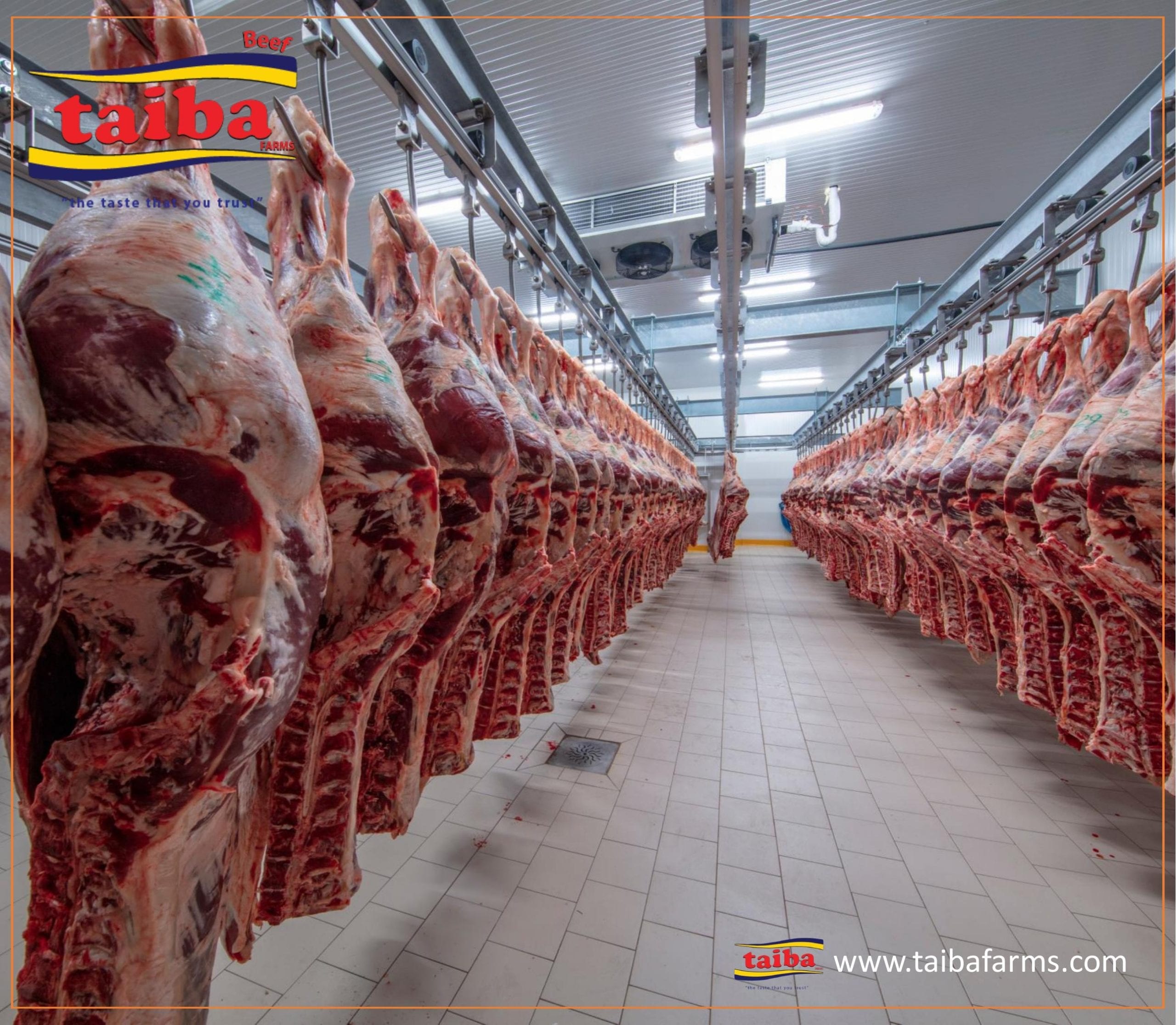 Frozen meat slaughterhouses Halal certified & Halal meat