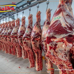 UAE Fresh Meat imports UAE meat Importers, Wholesalers, suppliers