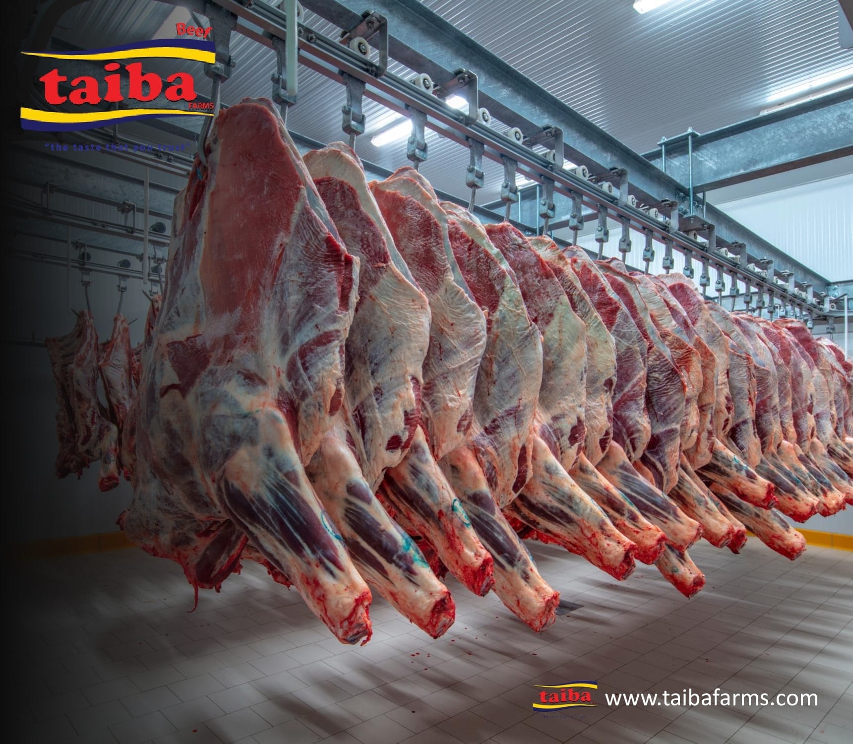#1 Kalidad, Produktong Halal na Baka at Karne tagapagtustos, distributor