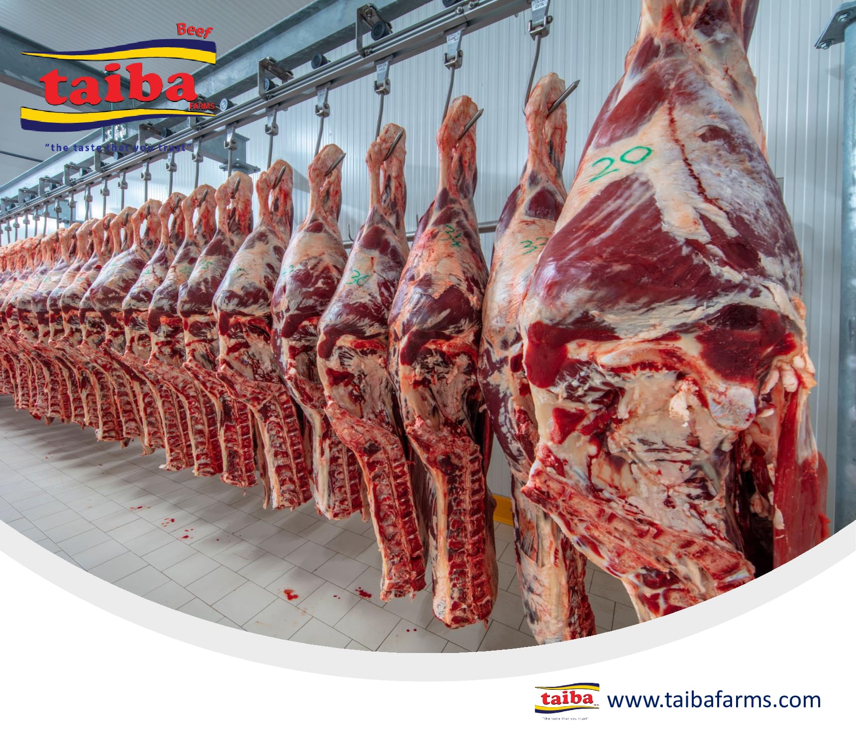 Distributeurs en gros de viande congelée, Distribution de viande congelée