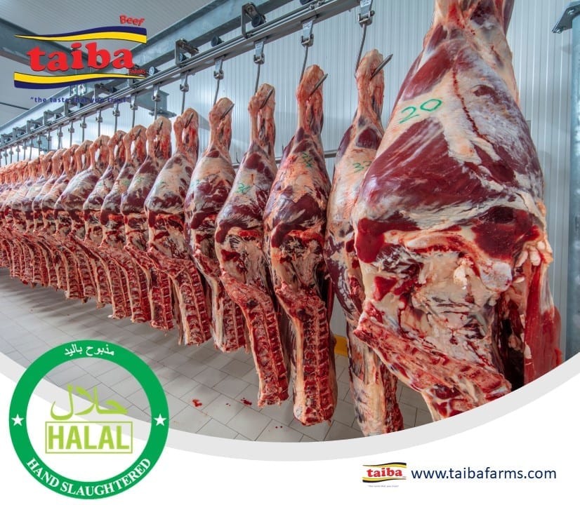 Halal Karne ng baka, Nagyeyelo, sariwa, pinalamig, Halal Katayan ng karne