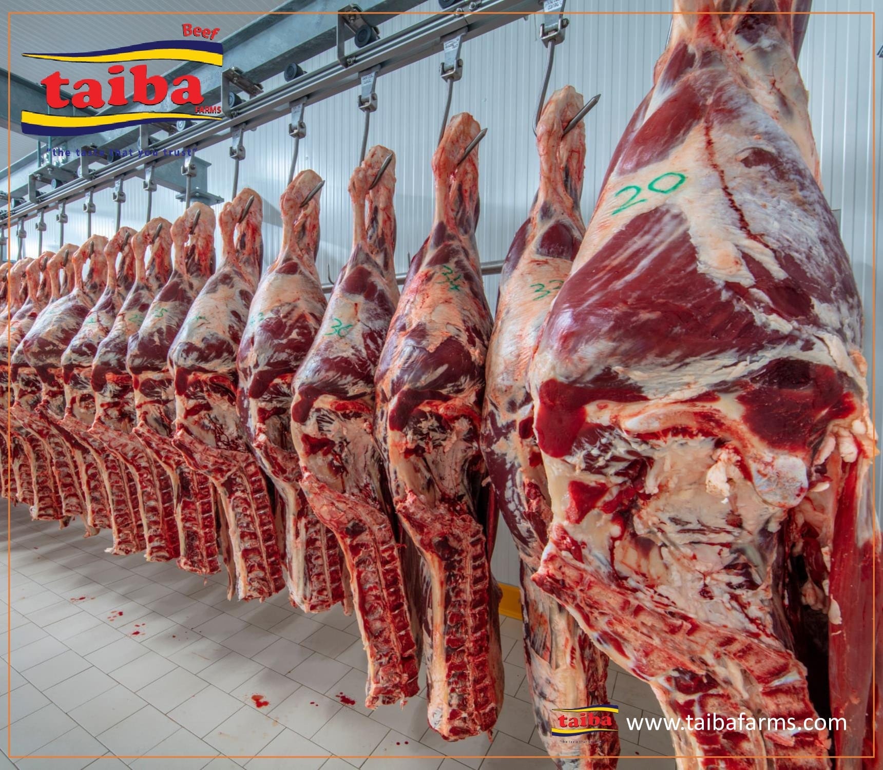 Mataas na Kalidad, ng karne at pabrika ng pagproseso, sa Brazil