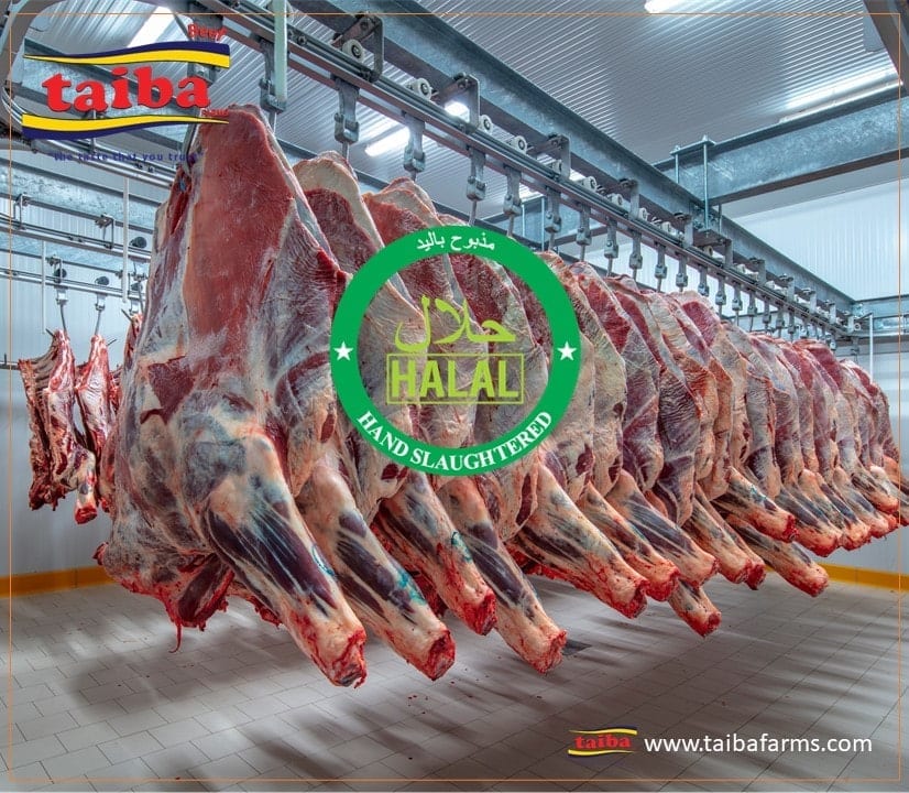 Qualidade, Carne de Bovino e Carne Halal empresas importadoras de carne, Carne de Bovino e Carne Halal