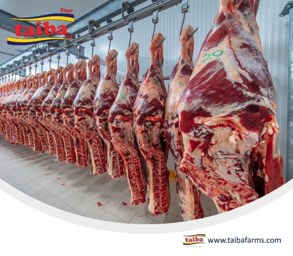 Qualidade fornecedores e distribuidores de carne bovina e fornecedores de carne de renome no Brasil