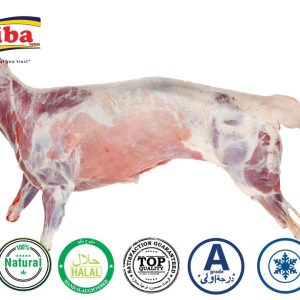 buy-whole-fresh-lamb-online-home-delivery-fresh-whole-australian-lamb-baby-lamb-Butcher-shop-near-me-Buy-Fresh-Chilled-Lamb-Online-Buy-Meat-Near-me-In-UAE-Dubai-Abu-Dhabi-Al-Ain-Sharjah