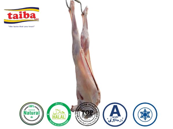 Fresh Meat Online Delivery Buy Fresh Whole Mutton Caracas Online In UAE, Dubai & Abu Dhabi