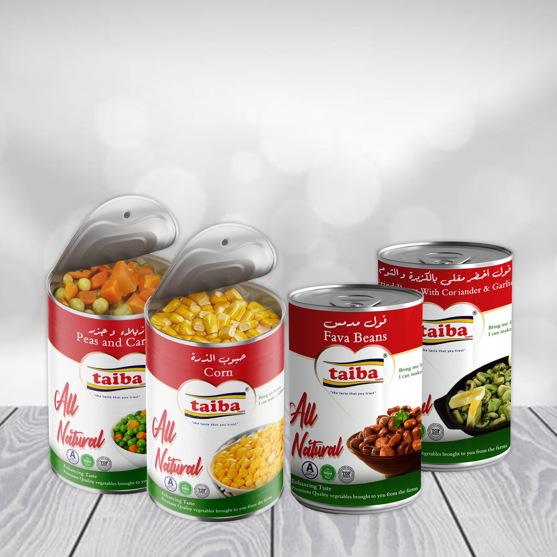 Import and Export canned food companies, import canned vegetables in UAE, Brazil, Saudi Arabia, USA New Yorkand Africa