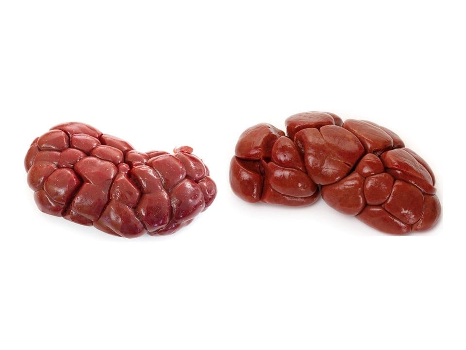 Beef kidneys wholesale chilled and frozen meat wholesale beef meat suppliers