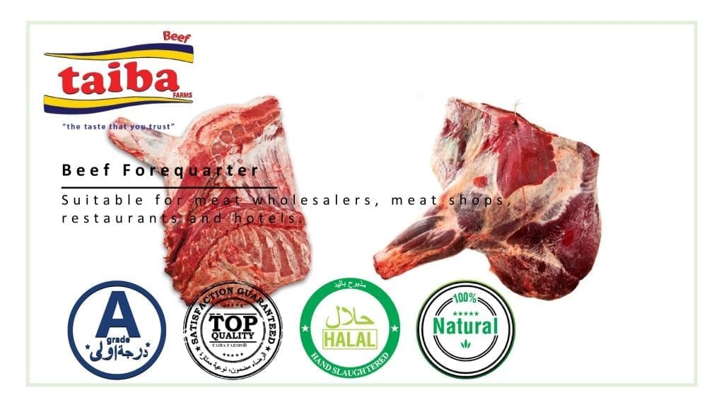 Iraq frozen beef meat manufacturer, suppliers, distributors, wholesalers, companies