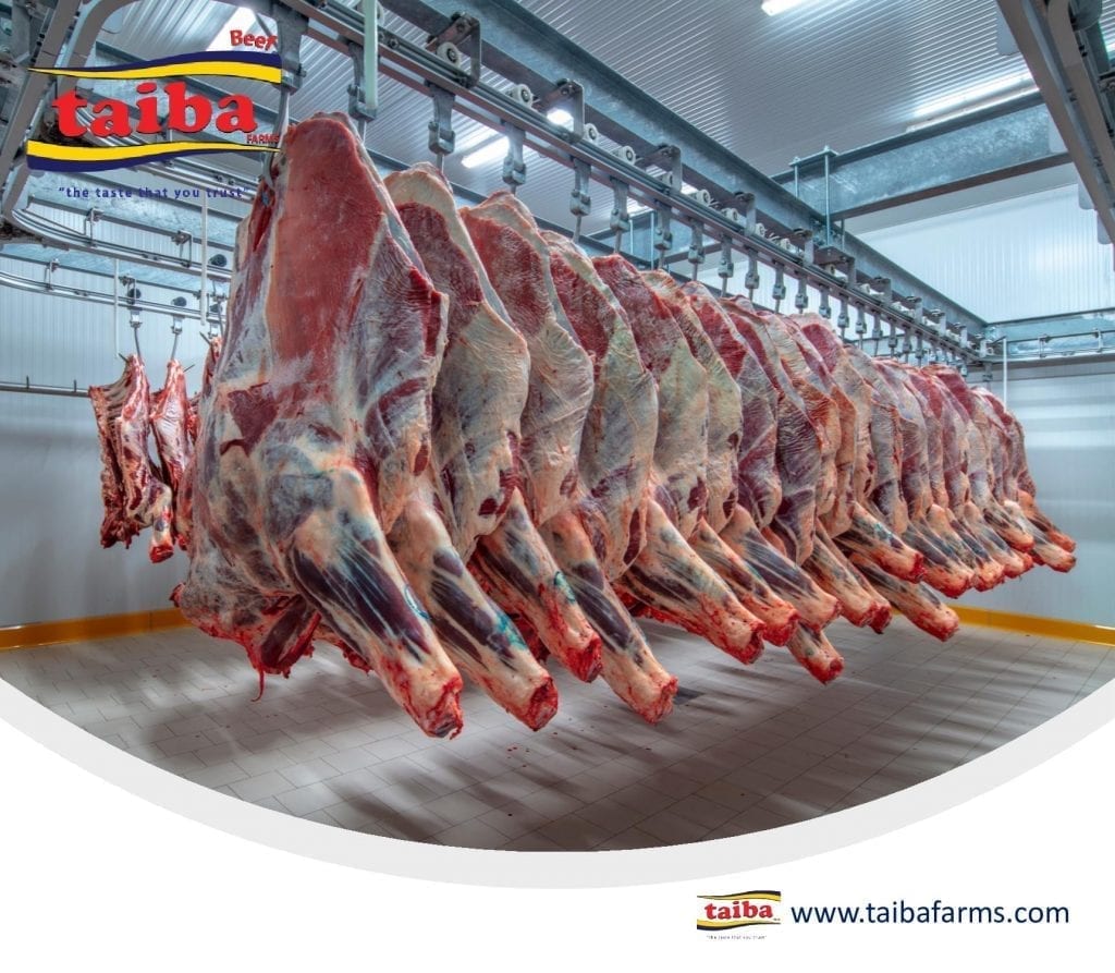 Brazilian exports, meat