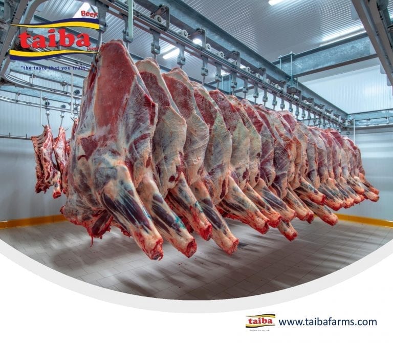 beef meat price in Saudi Arabia