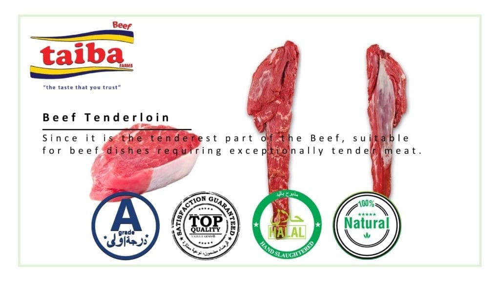Beef Tenderloin: wholesalers, suppliers, Halal fresh and frozen Tenderloin