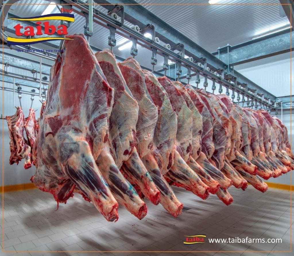 #1 Premium-Qualität Fleischfabriken Fleisch-Schlachthof in Deutschland, Gefroren, frisch, gekühlt