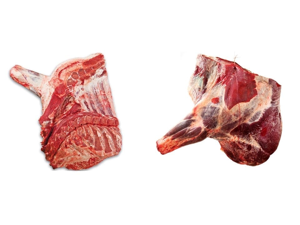 Carne de bovino Halal  Forequarter