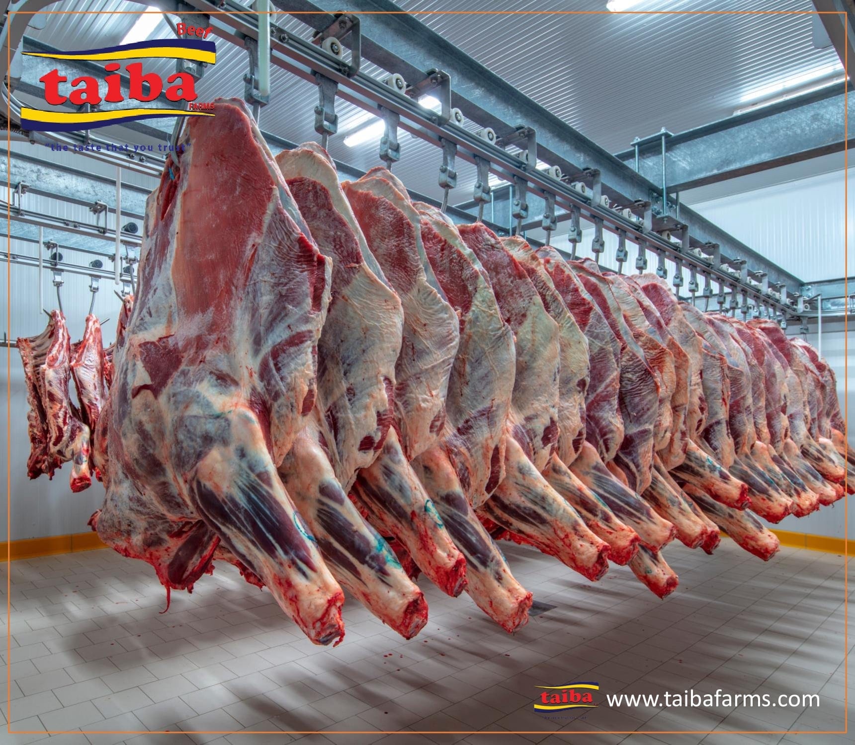 Qualidade, produtores de carne e fornecedores e empresas grossistas