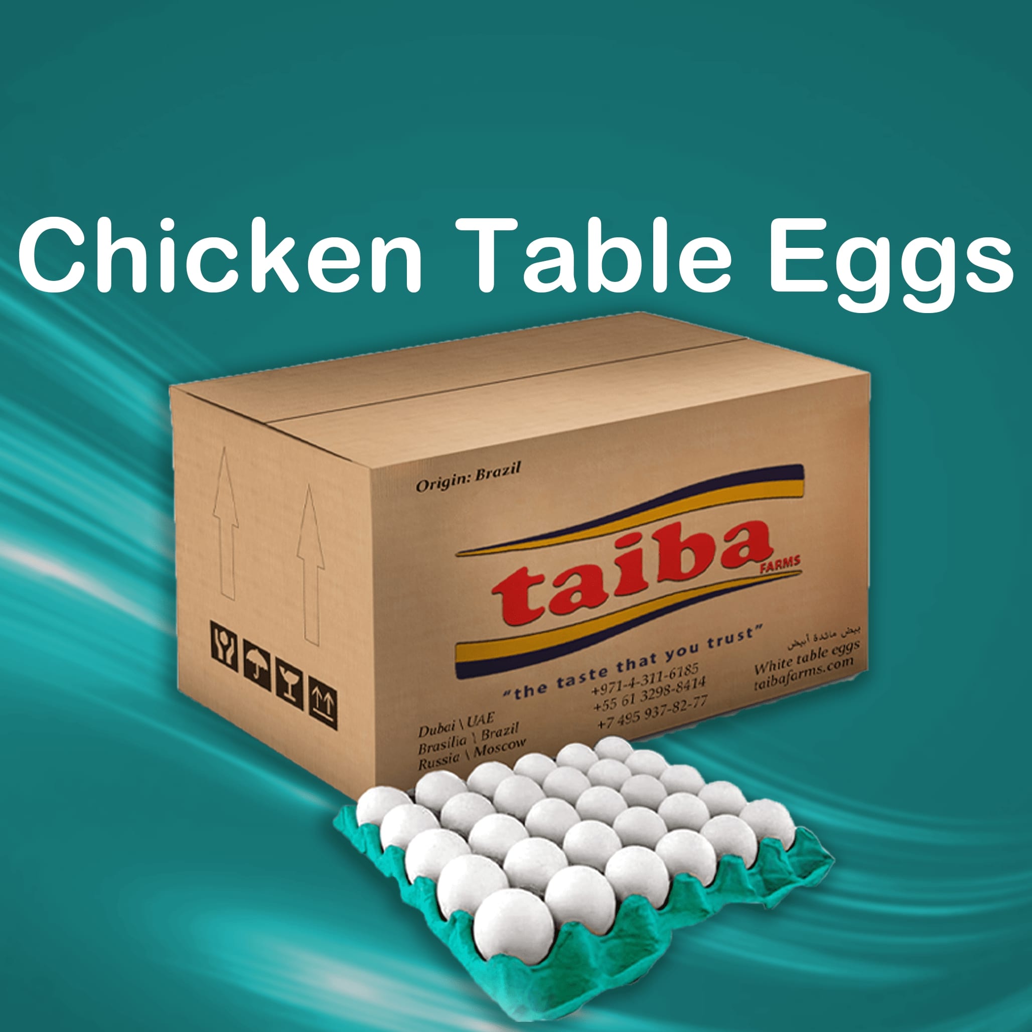 frsh-eggs-suppliers-wholesalers-destributors-buy-eggs-online-in-uae-dubai-sharjah-abudahbi-alain