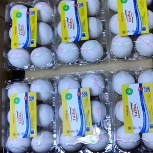 fresh eggs wholesale price suppliers in Dubai UAE