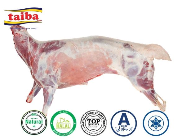 buy-whole-fresh-lamb-online-home-delivery-fresh-whole-australian-lamb-baby-lamb-Butcher-shop-near-me-Buy-Fresh-Chilled-Lamb-Online-Buy-Meat-Near-me-In-UAE-Dubai-Abu-Dhabi-Al-Ain-Sharjah