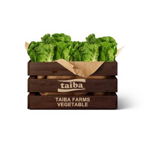 shop-online-fresh-vegetable-online-home-delivery-near-me-online-vegetable-shop-online-grocery-in-uae-and-dubaisuppliers-in-uae-dubai-abu-dhabi-vegetable-wholesal-in-dubai-uae